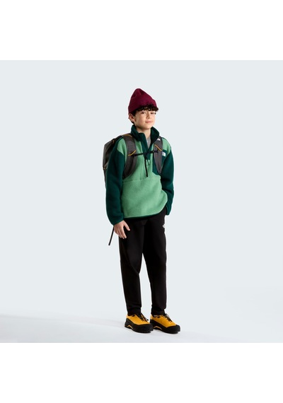 The North Face Teen Yumıorı 1/4 Zıp Jacket Unisex Genç Çocuk Ceket Nf0a8j61jzx1 Çok Renkli