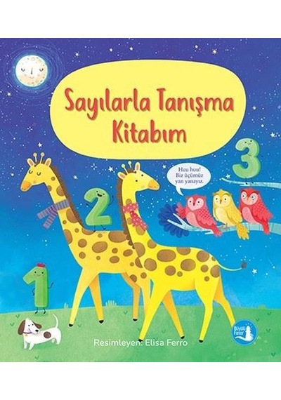 Sayılarla Tanışma Kitabım - Mary Cartwright - Büyülü Fener