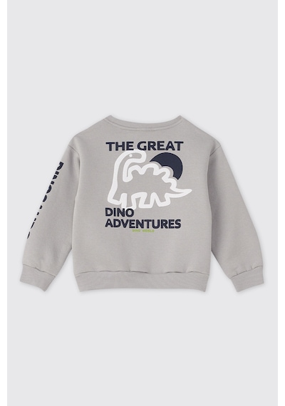 Panço Erkek Bebek Gri Sweatshirt 2521bb08037
