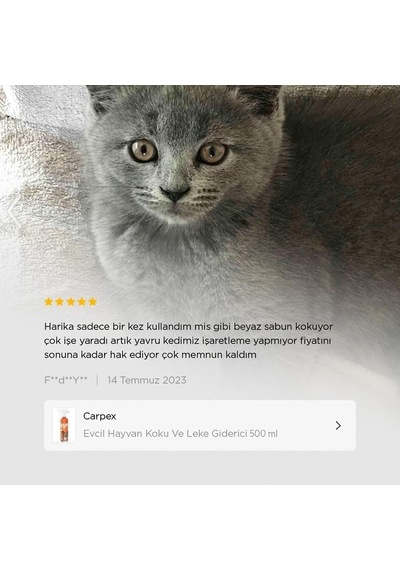 Evcil Hayvan Koku Ve Leke Giderici Enzimatik Sprey 500 Ml