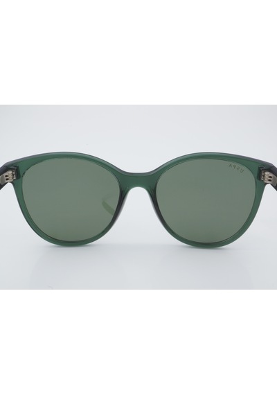 U.s. Polo Assn. Uss 0099 C5 54 - 01 Güneş Gözlüğü Yeşil