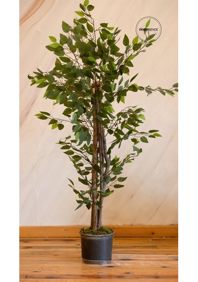Yapay Benjamin Ağacı 130 Cm Yeşil