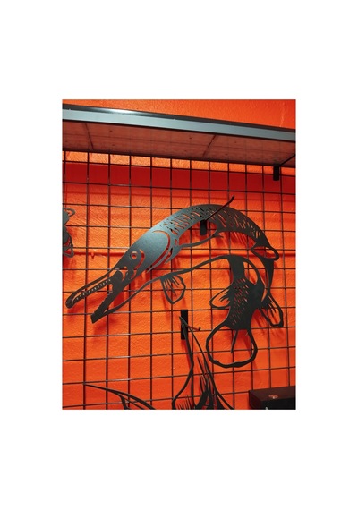 Timsah Balığı Işıklı 50cm