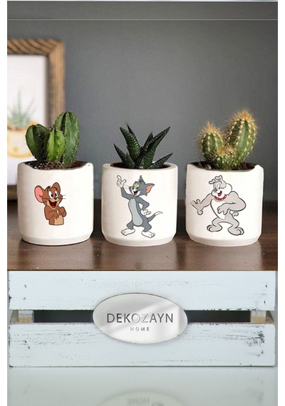 Modern Tom Ve Jerry El Çizimi Renkli Sukulent Ve Kaktüs Saksısı