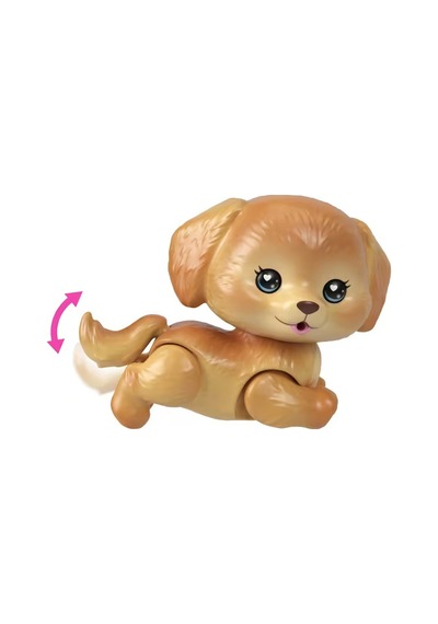 Barbie Dream Squad Renk Aksesuarlı Yavru Köp Jmw97 Seri 3