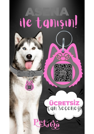 Petjoo 25.Asena Pembe-Gri Qr'lı Köpek Künyesi