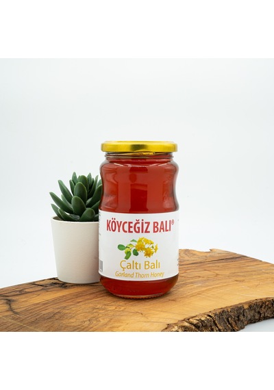 Köyceğiz Balı Çaltı Balı Cam Kavanoz 450 G