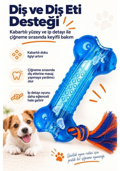 Petstages Orka Bone Kemik Şeklinde Köpek Çiğneme Oyuncağı - Parçalanmaya Dayanıklı Ve Güvenli