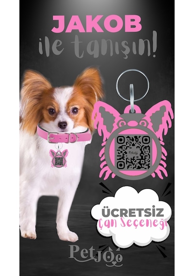 Petjoo 8.Jakob Gri-Pembe Qr'lı Köpek Künyesi
