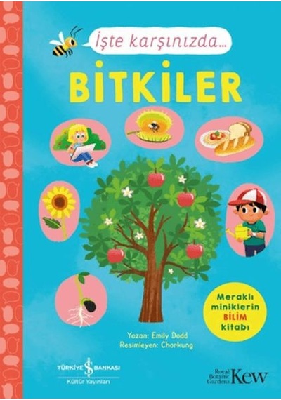 İşte Karşınızda...bitkiler - Aıaı-893770