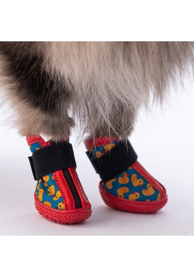 Pawstar Ducks Köpek Ayakkabısı