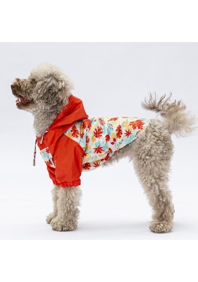 Pawstar Ottawa Yağmurluk Küçük Ve Orta Irk