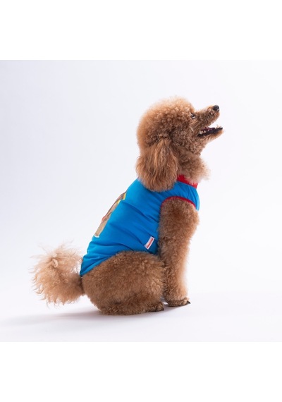 Mavi Donut Teddy Tişört Kedi Köpek Tişörtü-kedi Köpek Kıyafeti