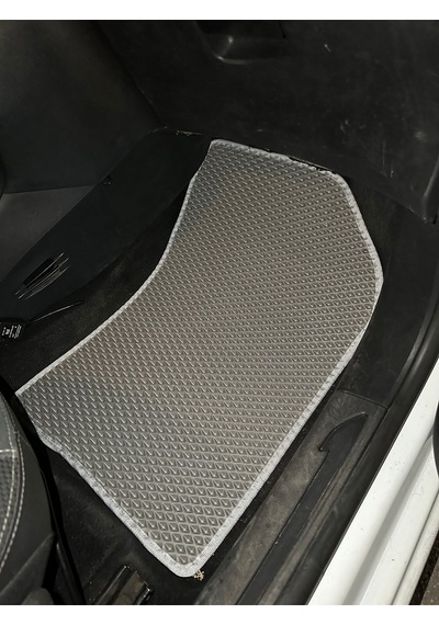 Citroen C3 Eva Paspas