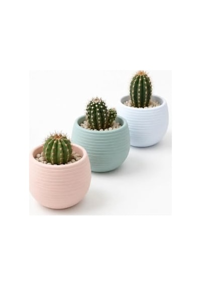 Dekoratif İskandinav Mini Saksı Seti, 8x7 Cm, Pembe, Plastik, Kaktüs Ve Sukulent Bitkiler İçin, 3'lü Diğer