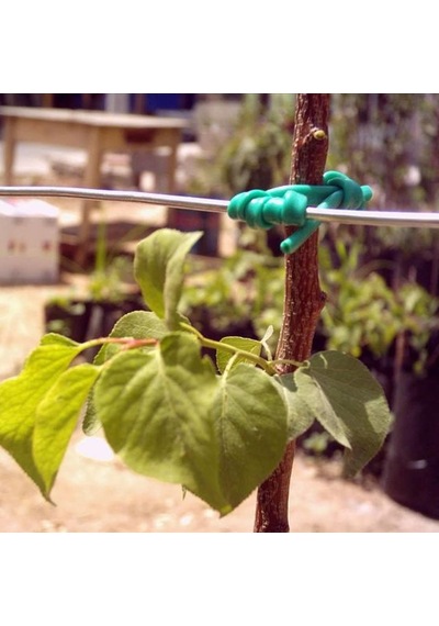 Plastik Özel Üretim Fidan Bağlama Ipi 10 Fidan Için