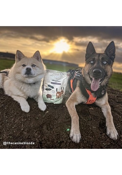 Su Manda Sosisi 240 G, Köpek Ödül Maması