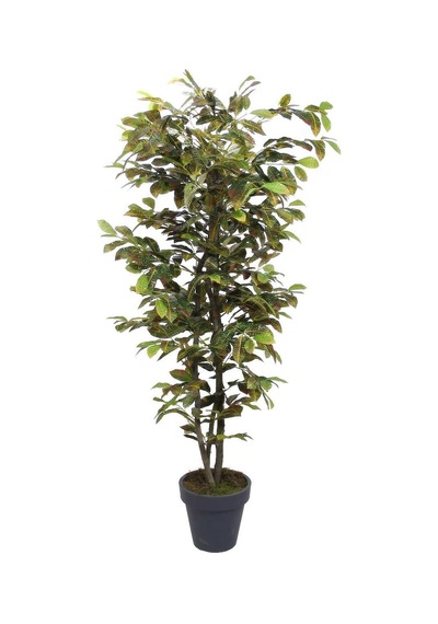 Yapay Kraton Ağacı 170 Cm-10317
