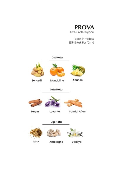 Prova Born İn Yellow Edp Amber Oriental Erkek Parfüm 120 Ml 24'li Paket