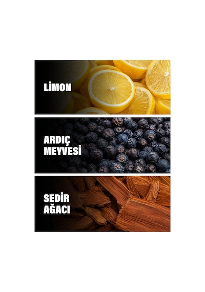 Black Gold 50 Ml Erkek Parfüm Aromatik