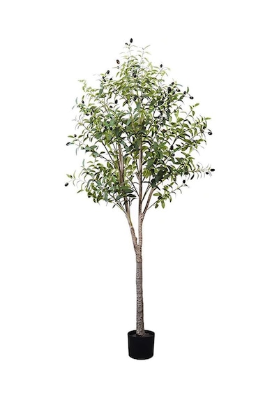 Yapay Zeytin Ağacı Lüx 180cm Doğal Gövdeli Gerçek Görünümlü Yapay Ağaç
