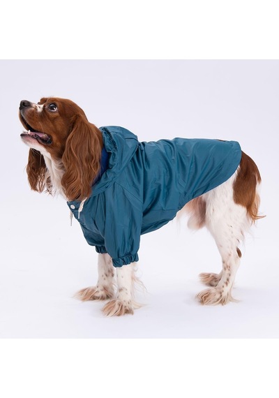 Pettrend Petrol Mont Köpek Mont Küçük Büyük Irk Köpek Yağmurluğu