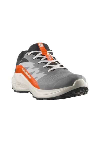 Salomon Alphaglıde Gore-tex Siyah