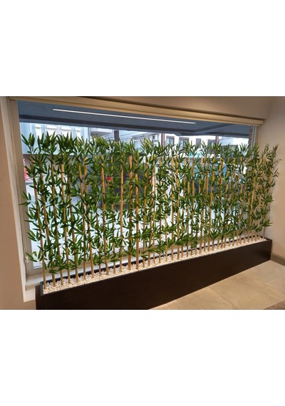 320 Cm Saksıda 170 Cm Bambu Sperator Yeşil