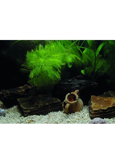 Kanki Pet Kp5540033 Akvaryum Arka Fon Yapıştırma 55 X 40 Cm