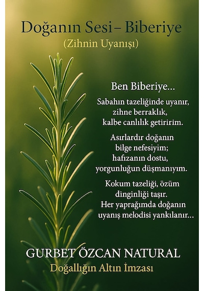Gurbet Özcan Natural Biberiye Yağı 10 ML
