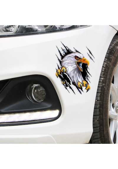 Kartal Araba Oto Sticker Yapıştırma Renkli