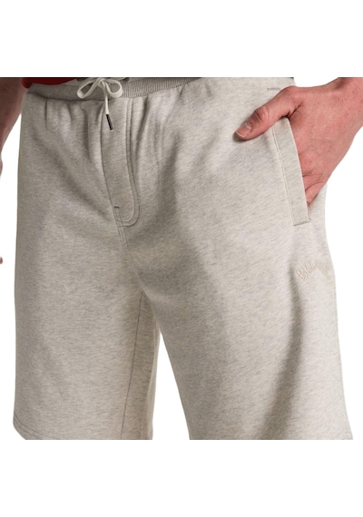 Billabong Bıllabong Arch Short Lt Lgh Çok Renkli