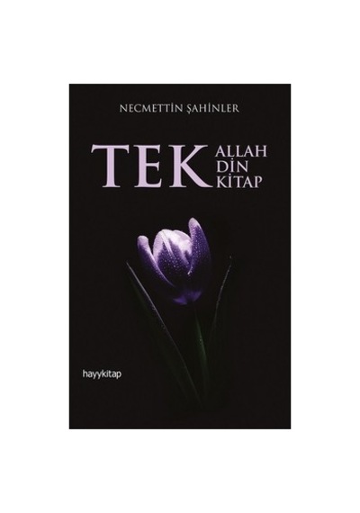 Tek Din Tek Kitap Üzerine Kapsamlı Düşünceler Ve Analizler