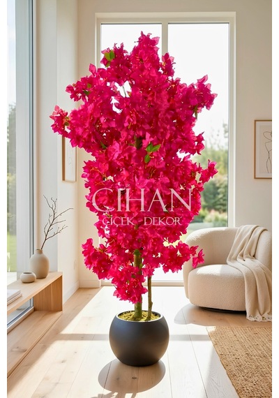 Fuşya Begonvil Yapay Ağaç 180 Cm 30x30 Siyah Plastik Küre Saksılı Beyaz