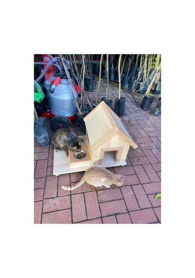Özel Tasarım İç Ve Dış Mekan Yalıtımlı Kedi Yuvası Kedi Evi