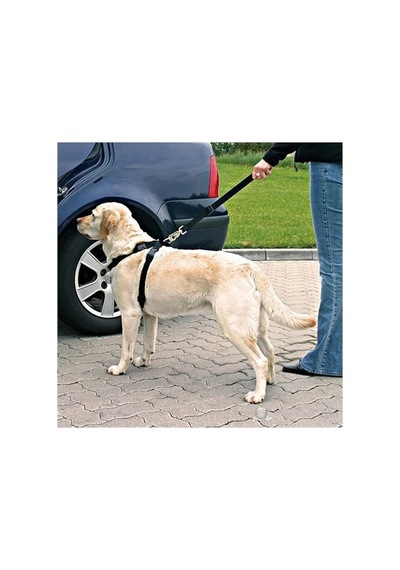 Evcil Hayvan Kedi - Köpek Araç Emniyet Kemeri 2 Adet Köpeğinizitutun 3838060000576