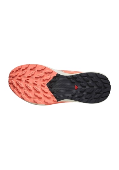 Salomon Sense Rıde 5 W 5801 Çok Renkli
