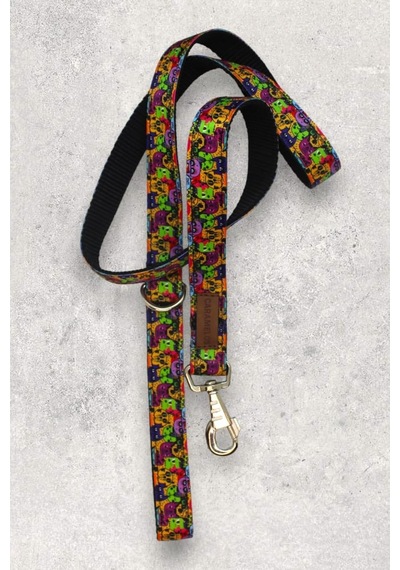 Köpek Tasma Set- Gövde Tasması + Gezdirme Kayışı Karışık 3-m