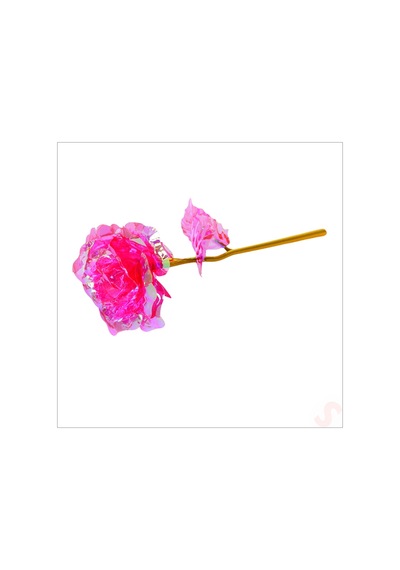 Sonsuzluk Gülü, 25 Cm X 8cm - Pembe