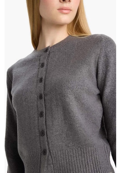 Defacto Coool Slim Fit Dar Kesim Bisiklet Yaka Düğmeli Hırka E8236ax25wnar61 Antrasit