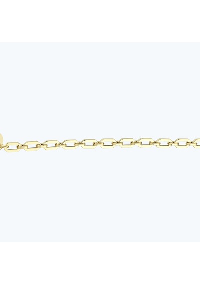 Altınbaş Altın Zincir Bileklik Abl0162-y-4514 Çok Renkli