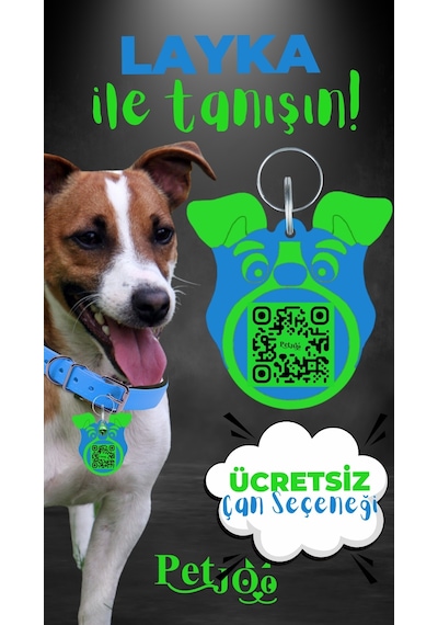 Petjoo 22.Layka Yeşil-Mavi Qr'lı Köpek Künyesi