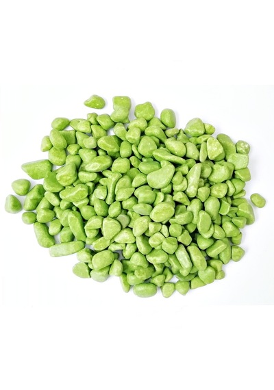 Bölmeli Izgaralı Betta Beta Kabı Tankı Akvaryum 1800 Ml - 19x8x13 Cm Yeşil