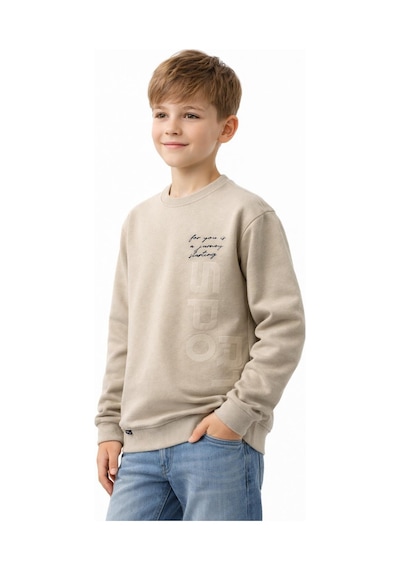 Baglan Erkek Çocuk Önü Baskılı Sweatshirt Bgl-st05233 Taş