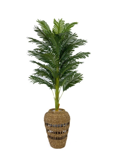Biçiçek Areka Palmi̇yesi̇ 160 Cm İskandi̇nav Tarz Hasir Saksıda