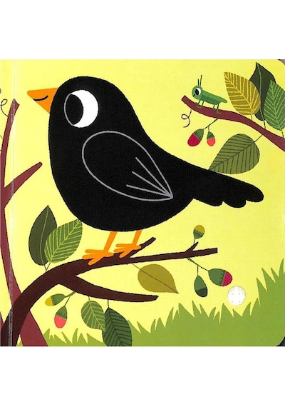 Nosy Crow Listen To The Birds Sesli Kitap