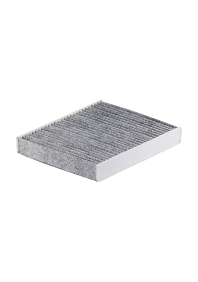 Filtron K1369a Karbonlu Polen Filtresi