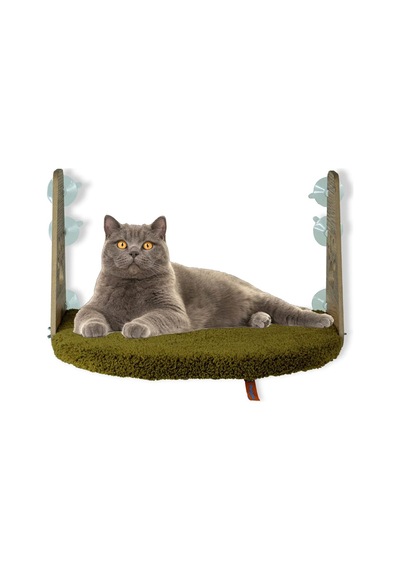 Cam Yatağı Vantuzlu Kedi Cam Yatağı Pugalo Vantuzlu Yatak Yeşil