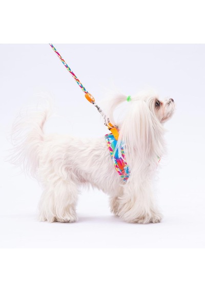 Pawstar Mosaic Leash Kedi Köpek Sevk & Gezdirme Kayışı Köpek Uzatma Tasması Mavi