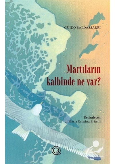 Martıların Kalbinde Ne Var? - Guido Baldassarri - Q Yayınları